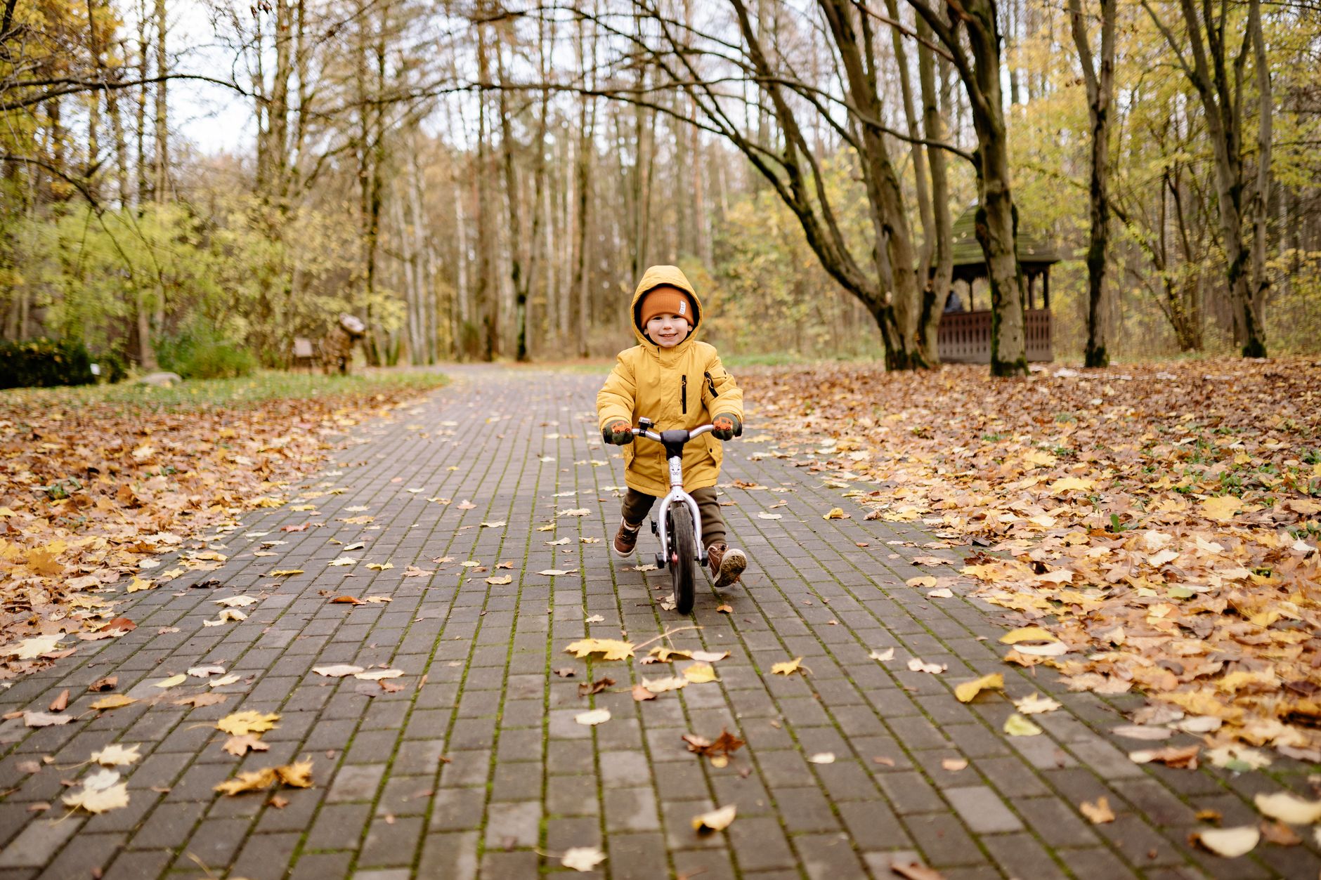 Enfant sur une draisienne