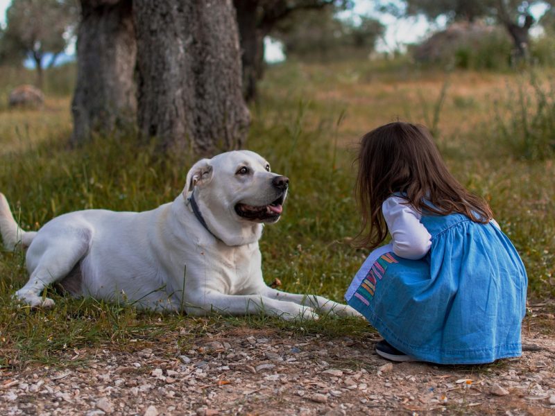 Chien ou chat avec un bébé : hygiène et sécurité