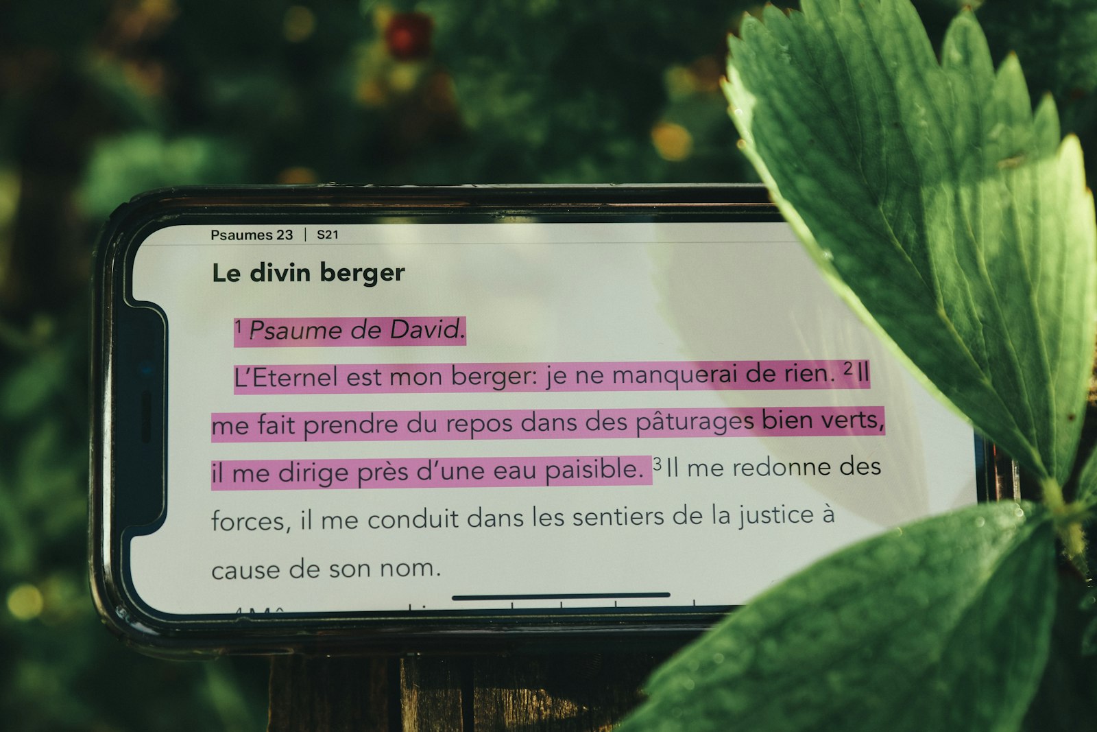 Crèches en crise : Comment le plan d’urgence du gouvernement peut changer la donne
