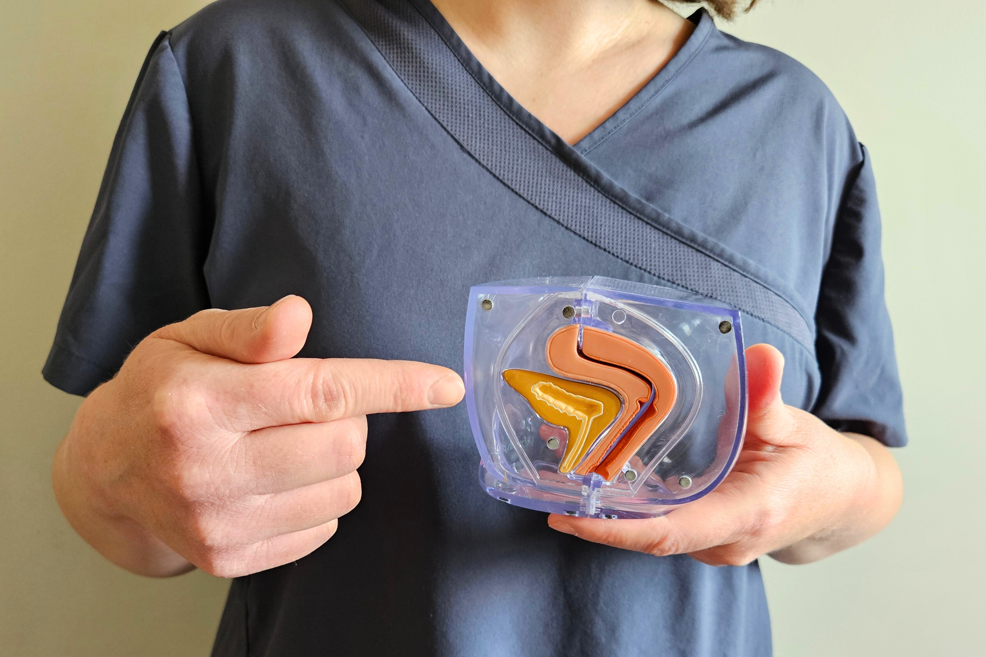 professionnelle de santé montrant un modèle anatomique du périnée pour expliquer la rééducation périnéale