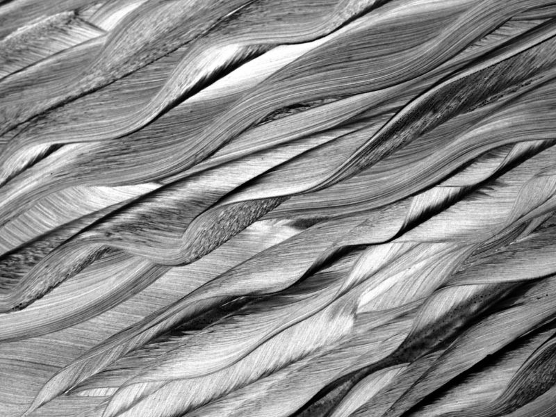 Papier peint fibres naturelles : quel choix pour la chambre de bébé ?